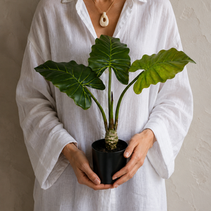 Planta Artificial Taro Inhame 3 Folhas com Vaso 61cm Toque Real